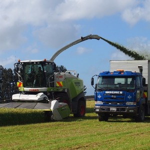 Silage 