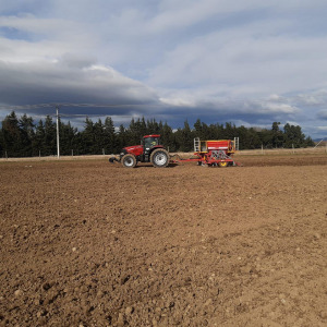 Planting 