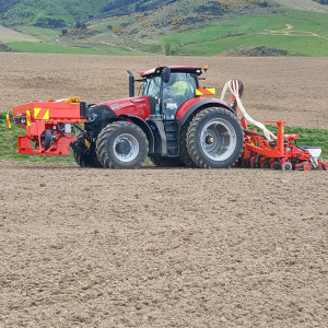 Planting 