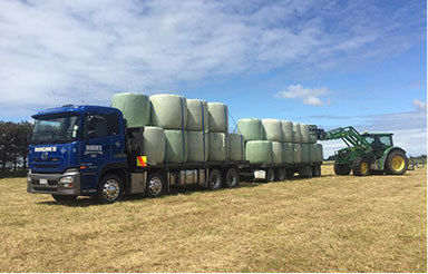 Balage Silage