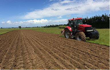 Planting Planting