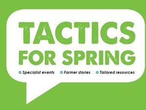 DairyNZ - Tactics for Spring 