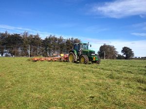 Clover Bell, Invercargill