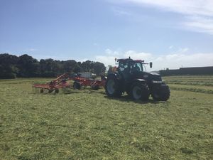 Summer/Autumn Grass Supplies